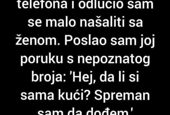 Dobio sam novi broj telefona i odlučio sam se malo našaliti sa svojom ženom…