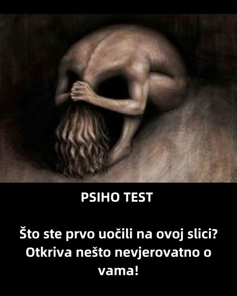 PSIHO TEST: Što ste prvo uočili na ovoj slici? Otkriva nešto nevjerovatno o vama!