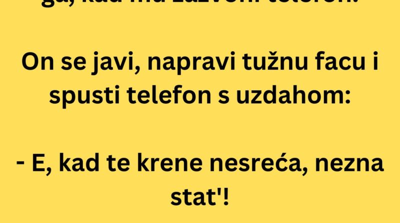 VIC DANA: Policajac na poslu