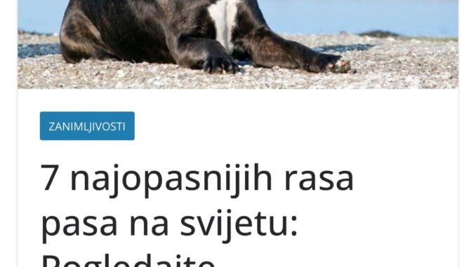 7 najopasnijih rasa pasa na svijetu! Provjereno su najbolji zaštita za porodicu