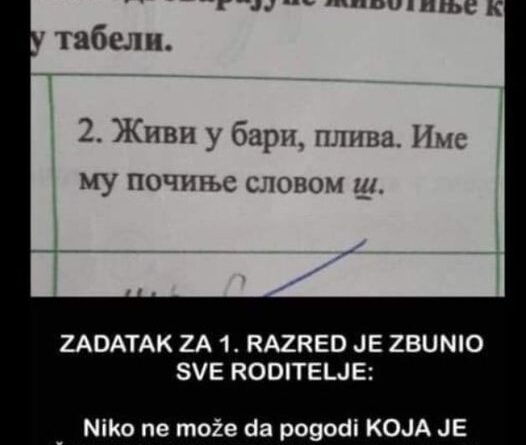 ZADATAK ZA 1. RAZRED JE ZBUNIO SVE RODITELJE: Niko ne može da pogodi KOJA JE ŽIVOTINJA U PITANJU, pogledajte šta je dijete odgovorilo