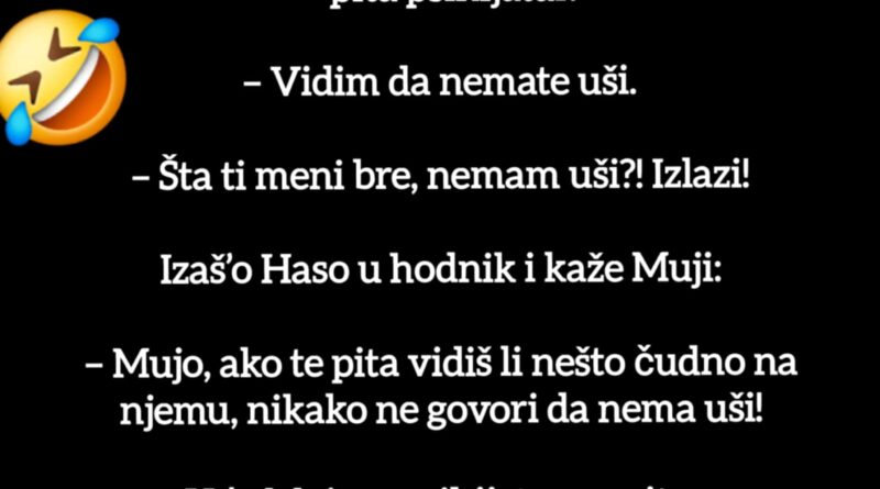 Otišli Mujo i Haso kod psihijatra…