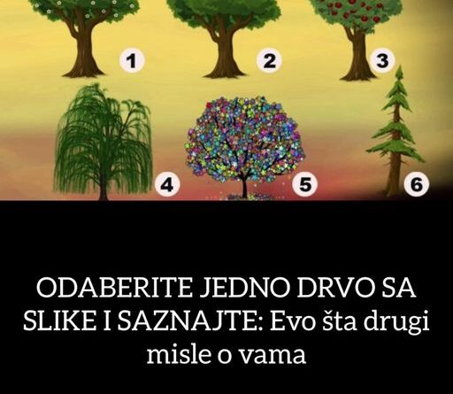 ODABERITE JEDNO DRVO SA SLIKE I SAZNAJTE: Evo šta drugi misle o vama