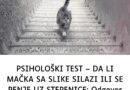 DA LI MAČKA SA SLIKE SILAZI ILI SE PENJE UZ STEPENICE: Odgovor otkriva kakva ste ličnost zapravo!