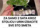 ZA SAMO 2 SATA KROZ STOLICU I URIN IZBACITE SVE STO SMETA ZDRAVOM ORGANIZMU! Univerzalni LIJEK!