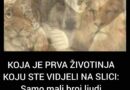 KOJA JE PRVA ŽIVOTINJA KOJU STE VIDJELI NA SLICI: Samo mali broj ljudi primjećuje jednu, a to otkriva vaše najdublje tajne