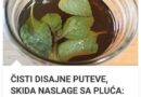 ČISTI DISAJNE PUTEVE, SKIDA NASLAGE SA PLUĆA: Čaj od ovog začina je čisto zlato, potrebna je jedna šolja dnevno!