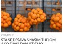 ŠTA SE DEŠAVA S NAŠIM TIJELOM AKO SVAKI DAN JEDEMO MANDARINE: Garantujemo da niste znali