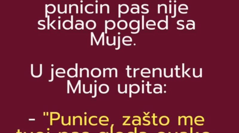 VIC: Punica i Mujo