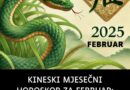 KINESKI MJESEČNI HOROSKOP ZA FEBRUAR: Iznenadni uspjeh i obilan priliv novca čeka 4 ZNAKA