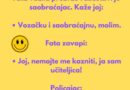 VIC: Fata vozila prebrzo