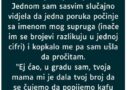 “Svekrva mi je često davala telefon da joj obrišem poruke, sve, jer nije umjela…”